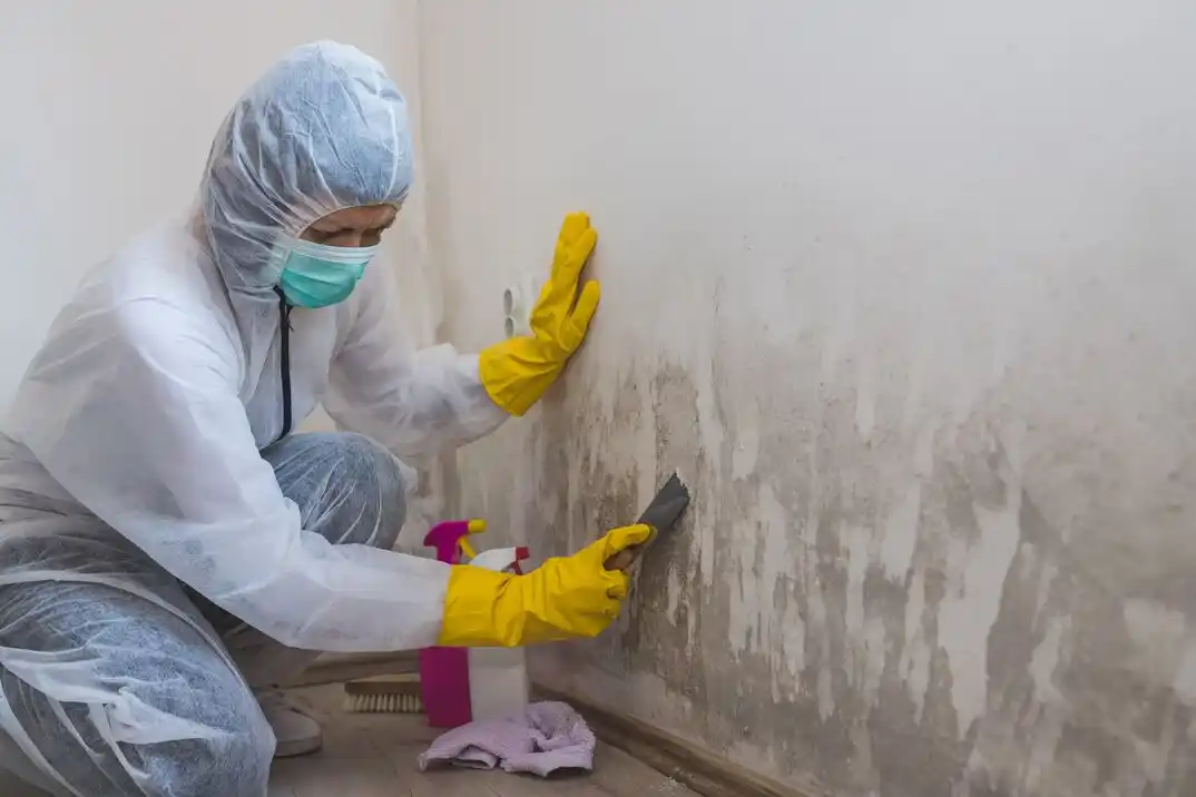 water damage restoration service North Campus